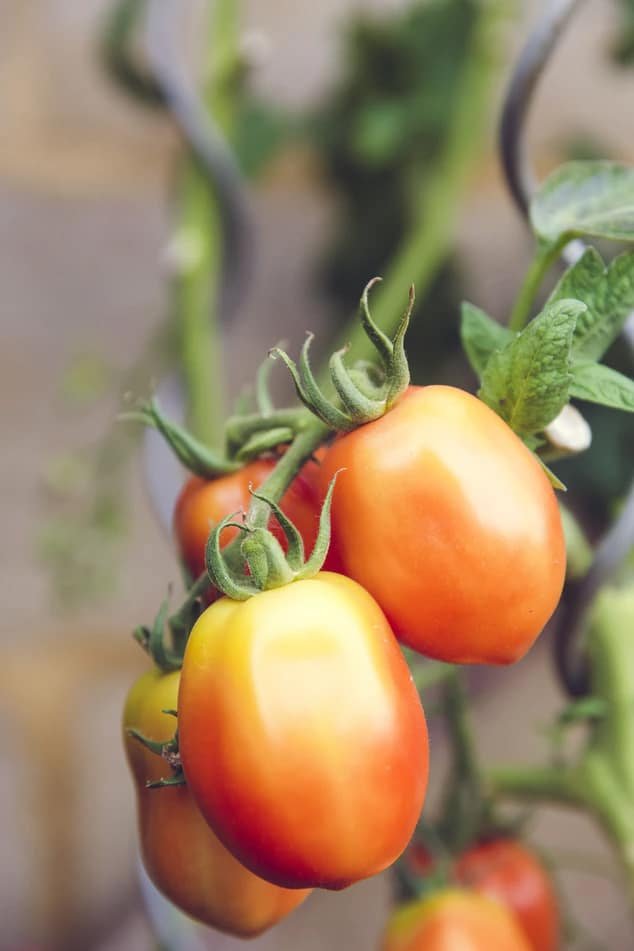 farming04 free img.jpg